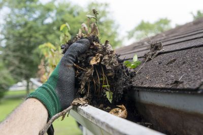 DIY Gutter Maintenance Tips